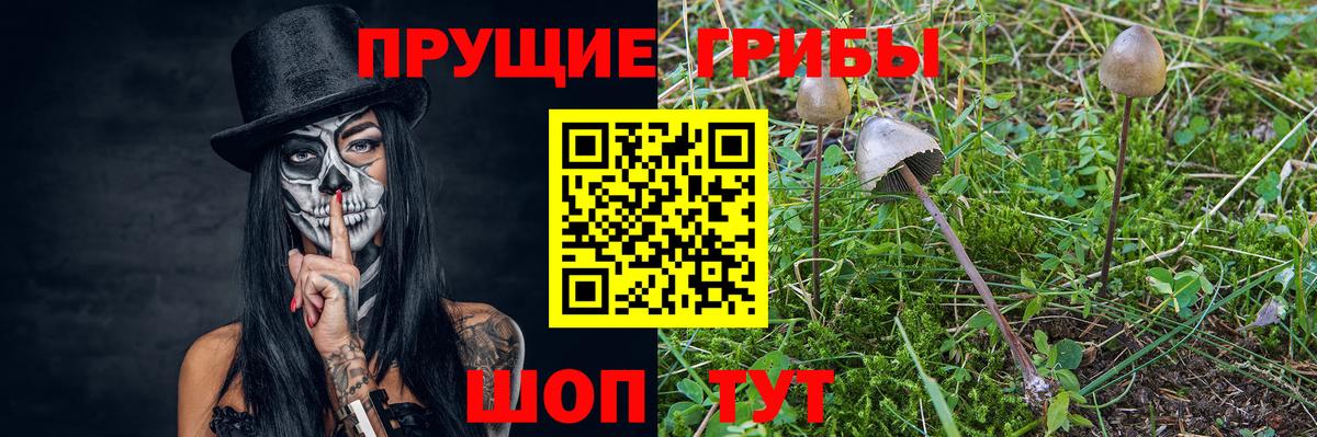 Псилоцибиновые грибы GOLDEN TEACHER  Воронеж 