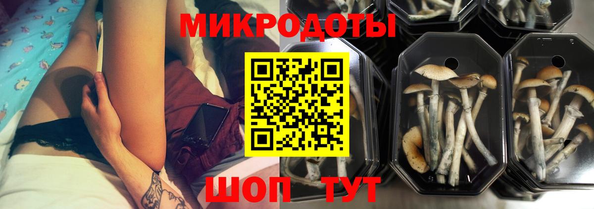 Галлюциногенные грибы Psilocybe Воронеж